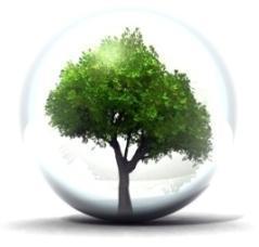 tree.jpg